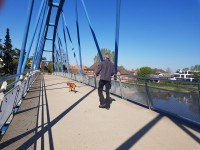 Hundeführer mit Magyar Vizsla auf der blauen Brücke