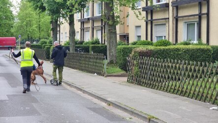 Hund zeigt eine auf dem Tretroller fahrende Person an