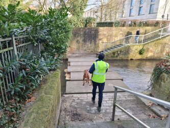 Das Suchteam läuft über Betonplatten welche über den Fluss Salze führen.