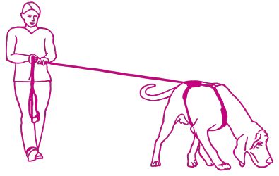 Zeichnung trailender Hund mit Hundeführerin