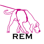 Gruppenlogo R.E.M.