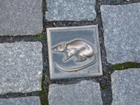 Pflasterstein mit Ratte in der Hamelner Innenstadt